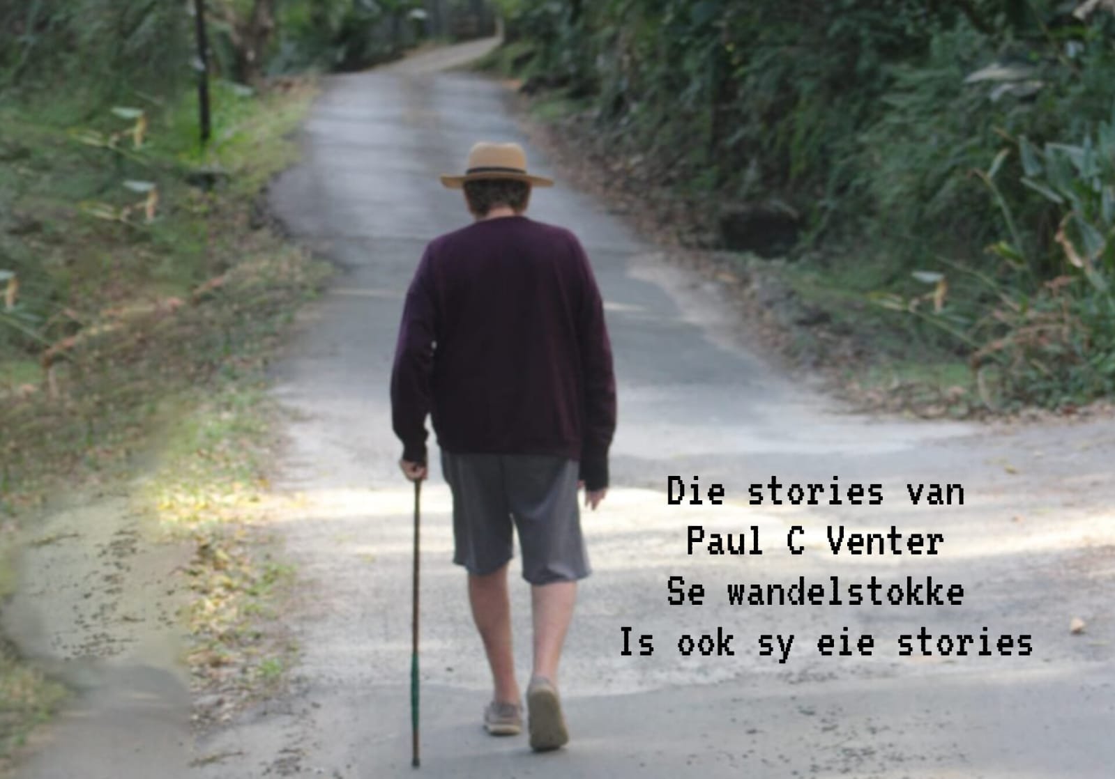 Wandelstokke